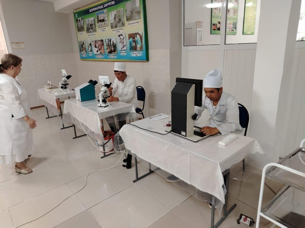 WhatsApp Image 2025-10-17 at 17.17.36 (1)