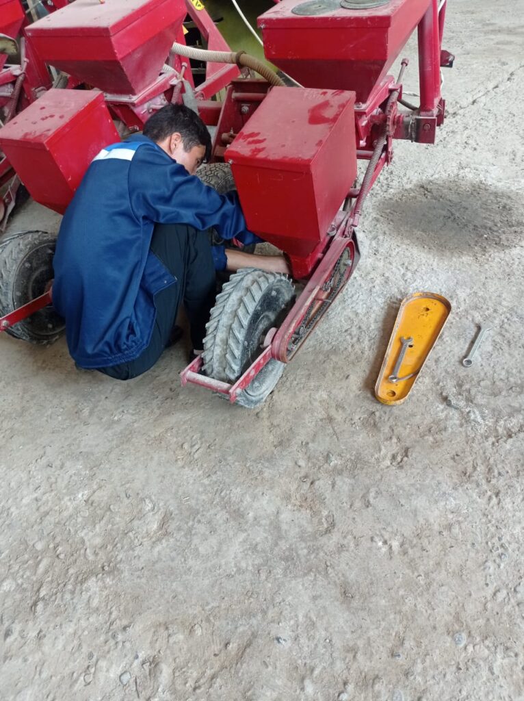 WhatsApp Image 2025-10-17 at 17.19.11 (1)